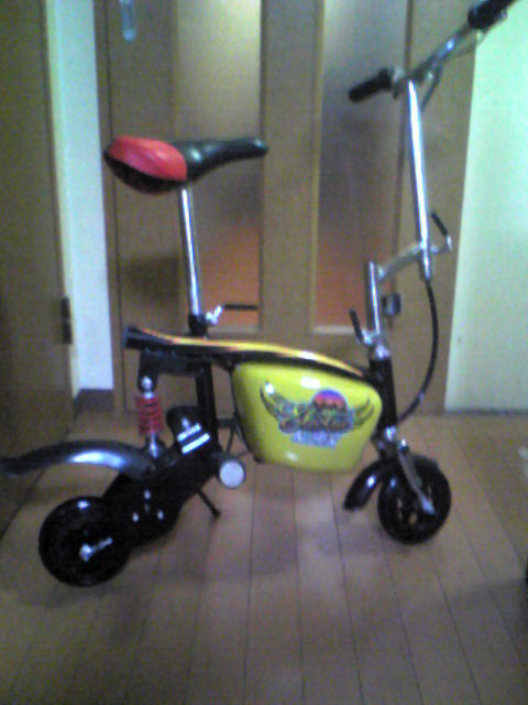 d0070007_21503589.jpg