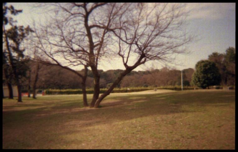 d0071507_21244998.jpg