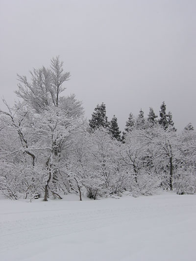 a0041508_2356100.jpg