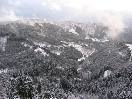 a0041508_236362.jpg