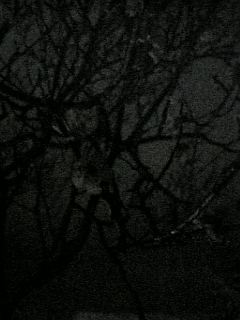 f0006510_22141748.jpg