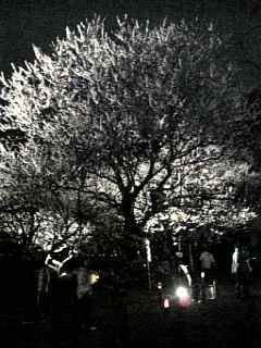 f0006510_2275286.jpg