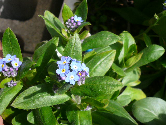 e0026017_21464532.jpg