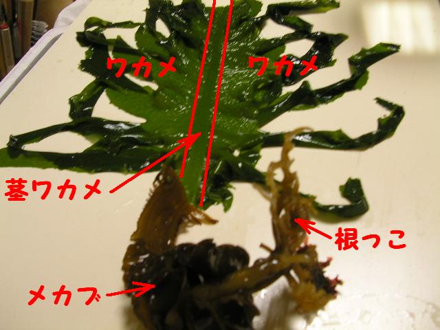 b0096418_132814.jpg