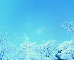 e0002020_2102318.jpg