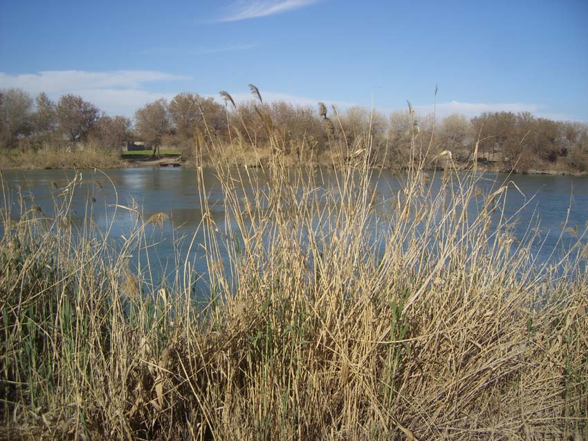 c0112823_2271732.jpg