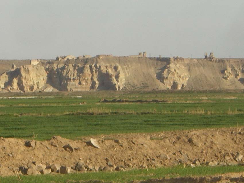 c0112823_2284327.jpg
