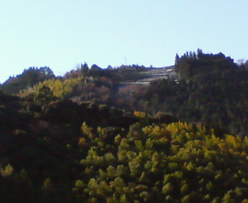 f0036223_8305710.jpg