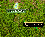 e0004726_10273430.jpg