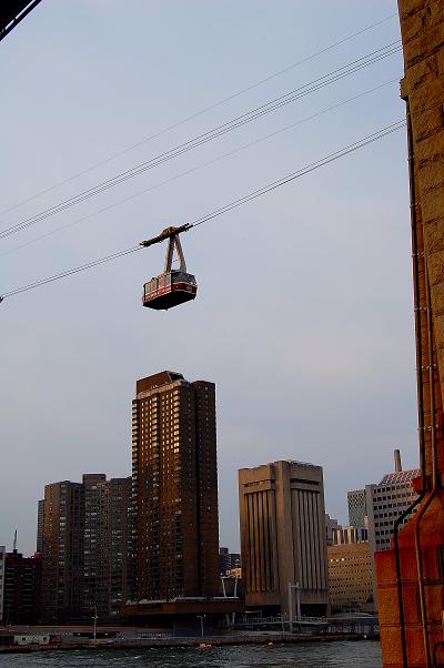 e0036628_4593624.jpg
