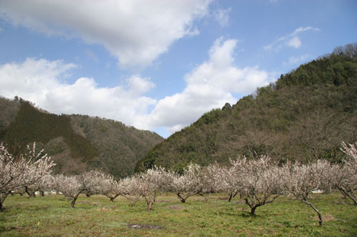 d0036630_17584840.jpg