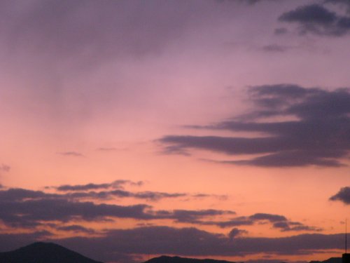 d0018131_6101822.jpg