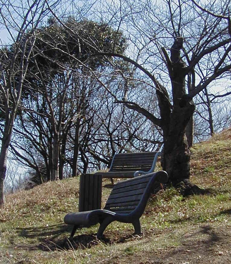 a0013236_1923095.jpg
