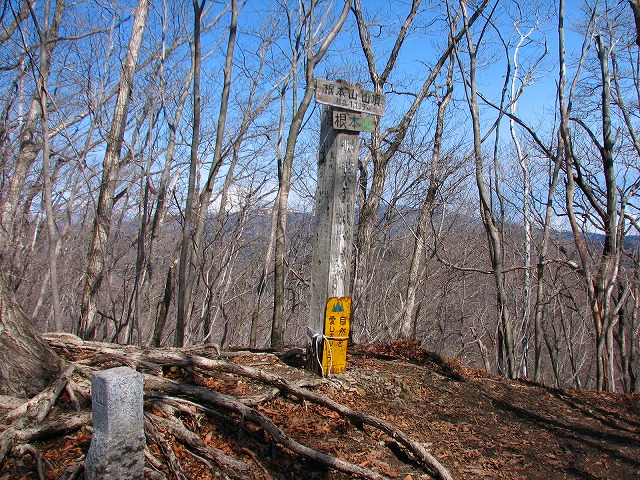 b0097836_22595978.jpg
