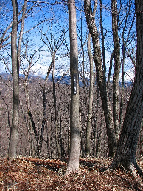 b0097836_2303867.jpg