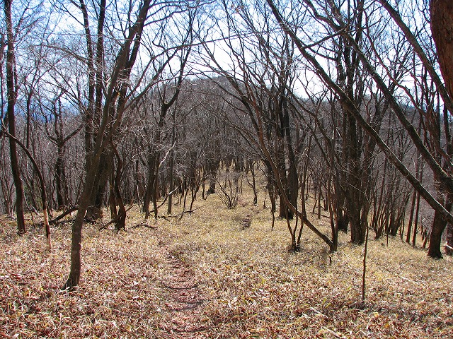 b0097836_2311890.jpg
