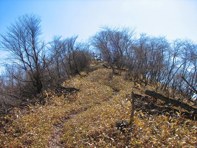 b0097836_2323829.jpg