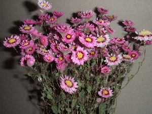a0054240_17525477.jpg