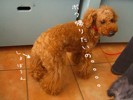 c0115145_21371829.jpg