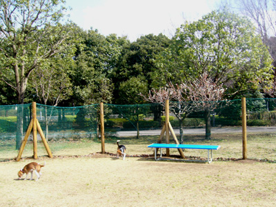 b0045357_9111242.jpg