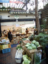 f0055358_22545241.jpg