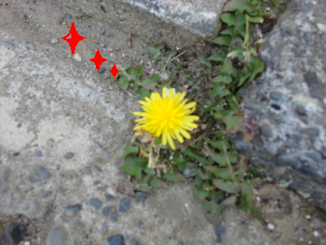 d0101070_17271886.jpg