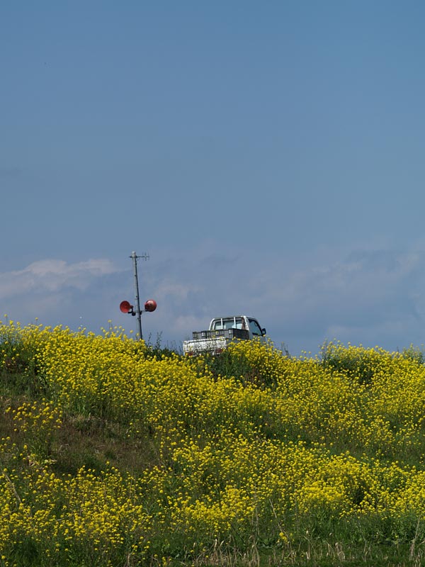 e0097970_21135916.jpg