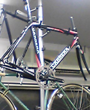 c0107075_131154100.jpg