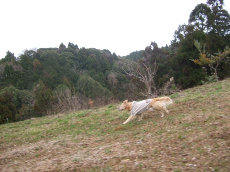 c0104492_20212344.jpg