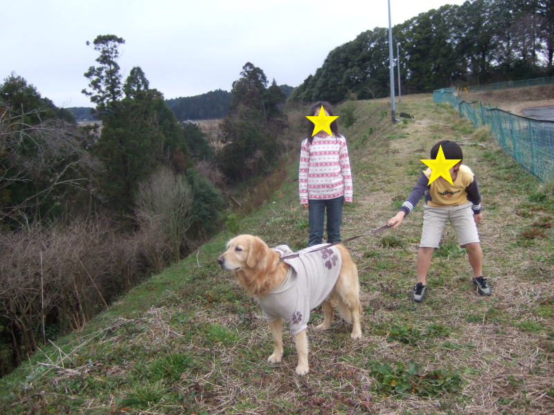 c0104492_20223155.jpg