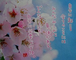 c0000093_2248366.jpg