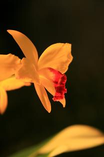 d0025894_244671.jpg