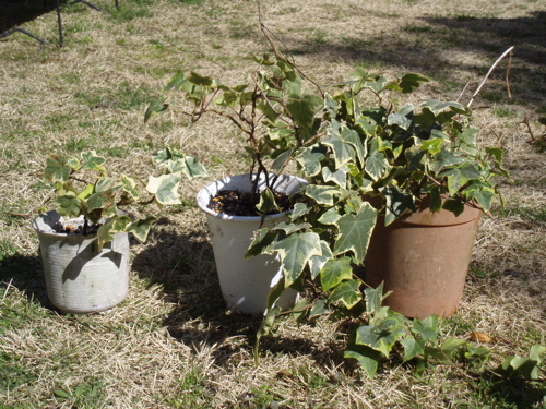 f0130894_21111681.jpg