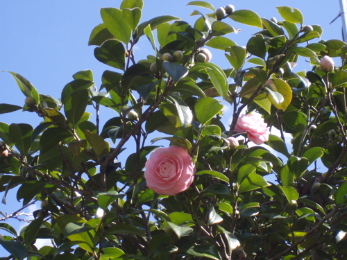 f0130894_21181286.jpg
