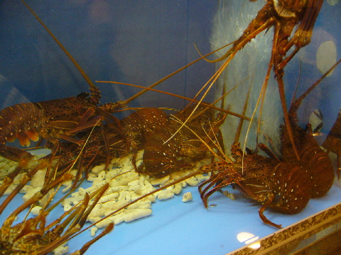 f0076796_17535327.jpg