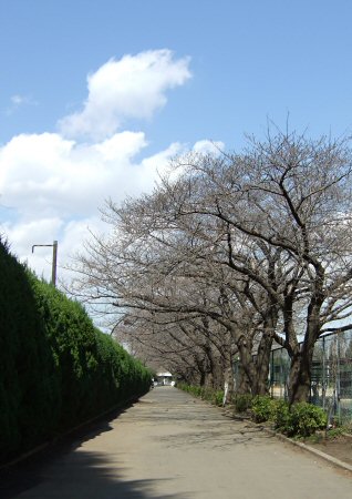 c0050400_1842527.jpg