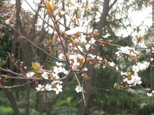 d0090300_21321991.jpg