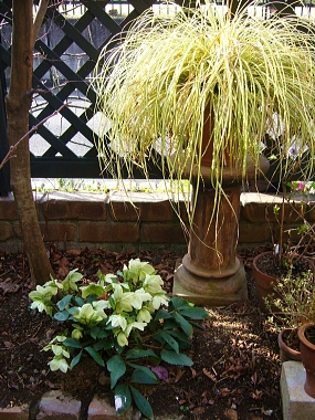 f0065604_120091.jpg