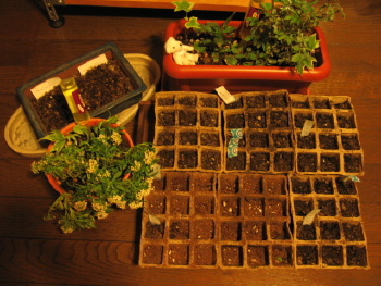 f0028125_154458.jpg