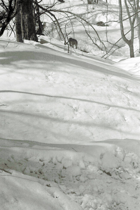 c0039630_18224689.jpg