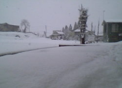 f0054731_14193.jpg