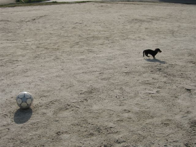 f0002532_14464085.jpg