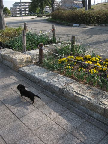 f0002532_14484463.jpg