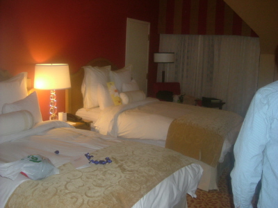 c0004139_8223063.jpg