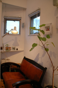a0082146_2358343.jpg