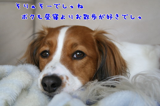 d0013149_10524470.jpg