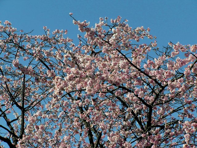 f0044056_11351385.jpg