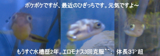 a0014770_22251847.jpg