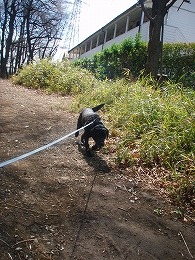 b0003270_13185992.jpg