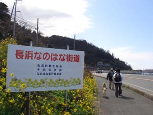e0012580_9435951.jpg